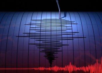 Gempa Magnitudo 6,0 di Papua Nugini Terasa Hingga Merauke dan Jayapura