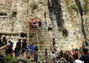 Karhutla Toraja Utara Ratusan Peti Jenazah Tradisional Terbakar