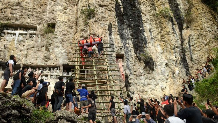 Karhutla Toraja Utara Ratusan Peti Jenazah Tradisional Terbakar