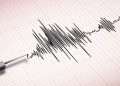 Rumah dan Sekolah Rusak Akibat Gempa M6,1 di Sumba