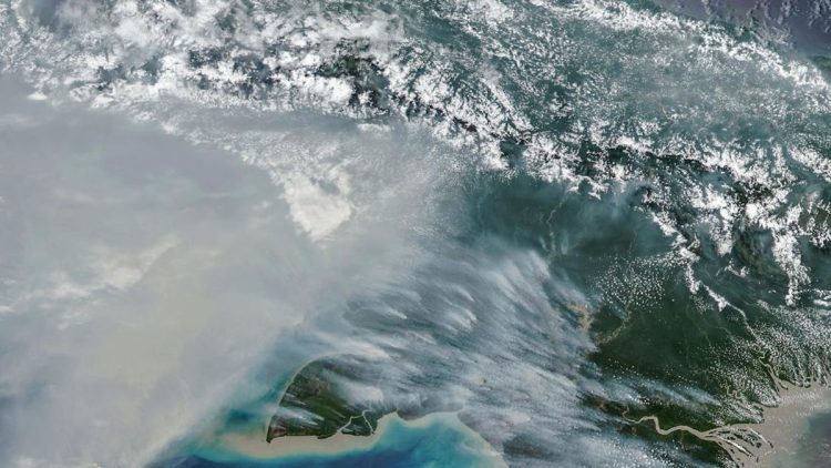 Jumlah Titik Panas Karhutla di Papua Selatan Turun Tersisa 65 Hotspot