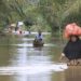 Pemkab Aceh Selatan Tentukan Status Darurat Banjir