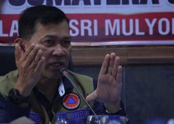 Petakan 44 Area Terbakar di Sumsel Diduga Terkait Perluasan Lahan menurut BNPB