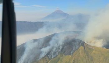 Kebakaran Hutan dan Lahan Melanda Lima Kawasan Gunung di Jawa Timur