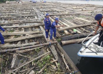 TNI AL Amankan 2 Kapal Angkut 8000 Kayu Ilegal di Pulau Buru