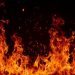 Kebakaran Lahan 7 Hektare di Palembang Hampir Menghancurkan Rumah Warga