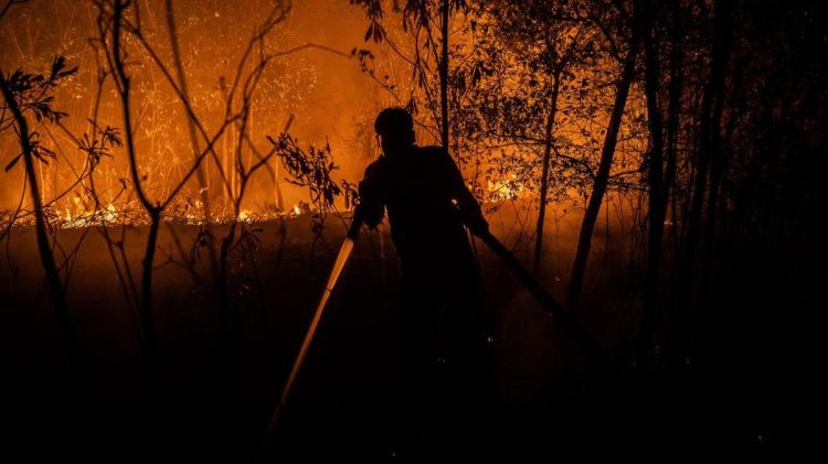 9 Relawan Meninggal Saat Berjuang Memadamkan Kebakaran Hutan dan Lahan