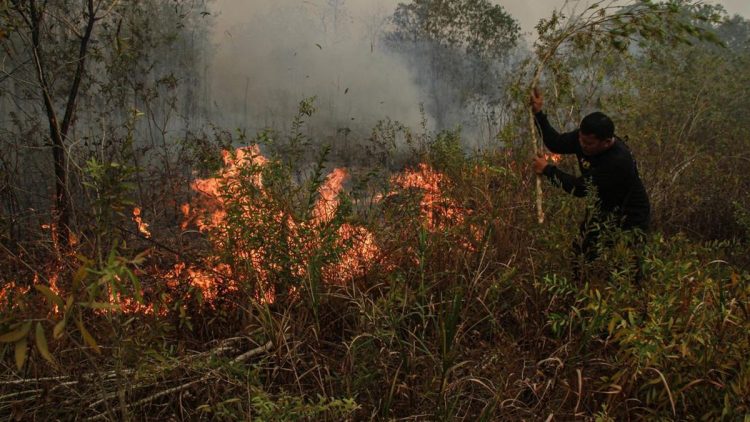 Malaysia Tawarkan Bantuan Pesawat dan Helikopter untuk Atasi Kebakaran Hutan dan Lahan