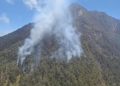 Kebakaran Terjadi Lagi di Gunung Arjuno