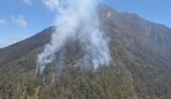 Kebakaran Terjadi Lagi di Gunung Arjuno