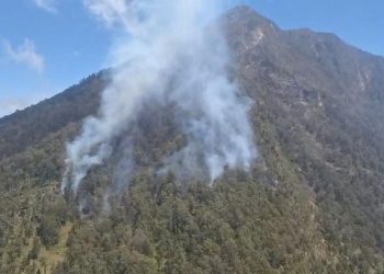 110 Pendaki Arjuno-Welirang Dievakuasi Karena Kebakaran Hutan Semua Selamat
