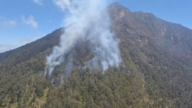 110 Pendaki Arjuno-Welirang Dievakuasi Karena Kebakaran Hutan Semua Selamat